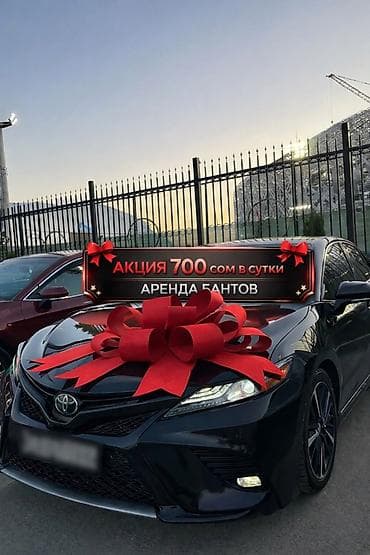 аренда декор: Аренда декоративных бантов для авто 🚘АКЦИЯ — всего 700 сом/сутки! — 1