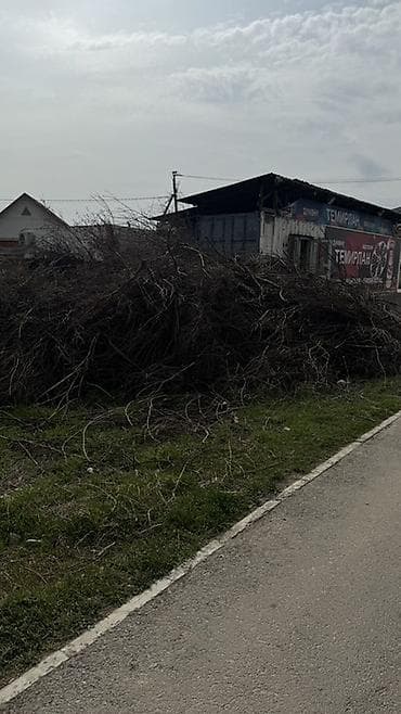 опилки даром: Дрова Самовывоз — 2