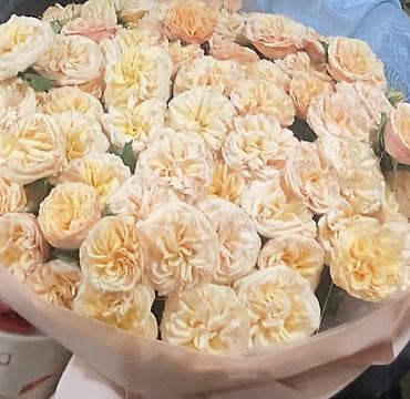 ярмарка цветов бишкек: Продаю букет свежий Дата получения 11:40 27.01.2026 Тел 0500.544.556 — 3