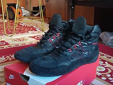 Электротранспорт: 2500 — 3