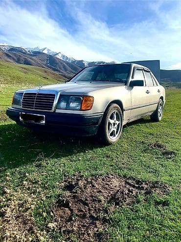 Mercedes-Benz W124: 1988 г., 2.9 л, Автомат, Дизель, Седан — 1