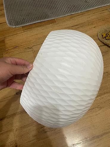 цветы бесплатно: Отдам за 300 покупала 1100 почти даром — 2