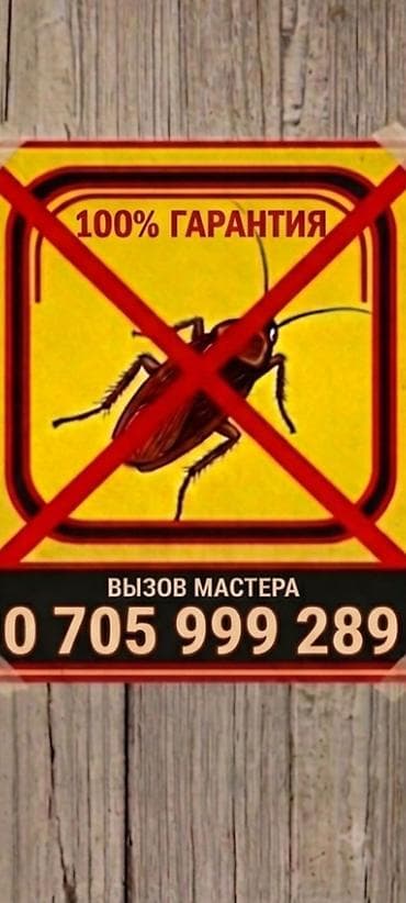 construction work: Дезинфекция, дезинсекция, | Клопы, Блохи, Тараканы, | Транспорт, Офисы, Квартиры — 1