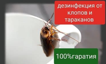 химчистка рядом: Дезинфекция, дезинсекция, | Клопы, Блохи, Тараканы, | Транспорт, Офисы, Квартиры — 7