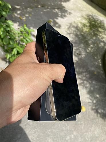 apple pro: IPhone 12 Pro Max, 128 ГБ, Matte Gold, Коробка, 80 % — 8