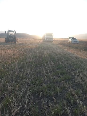 rs6 audi: Грузовик, Volvo, Стандарт — 5