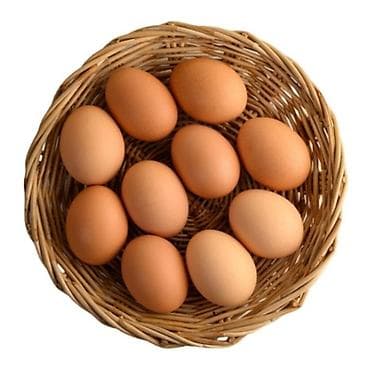 СКУПАЮ ДОМАШНИЕ ЯЙЦА ДЛЯ ИНКУБАЦИИ В БОЛЬШОМ КОЛИЧЕСТВЕ Так же