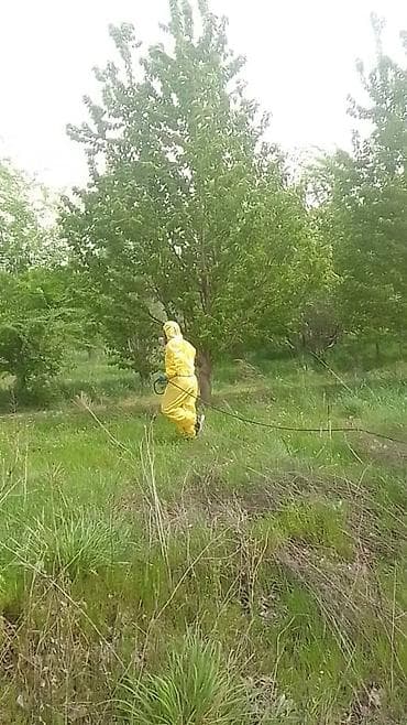 костюм nike: Дезинфекция, дезинсекция — 4