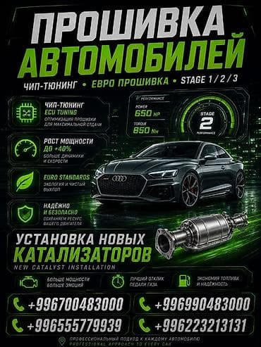 эмо: Профессиональная прошивка автомобилей и установка новых каталитаторов — 2