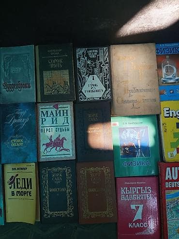 Коллекция разножанровых книг (художественная литература, детективы — 4