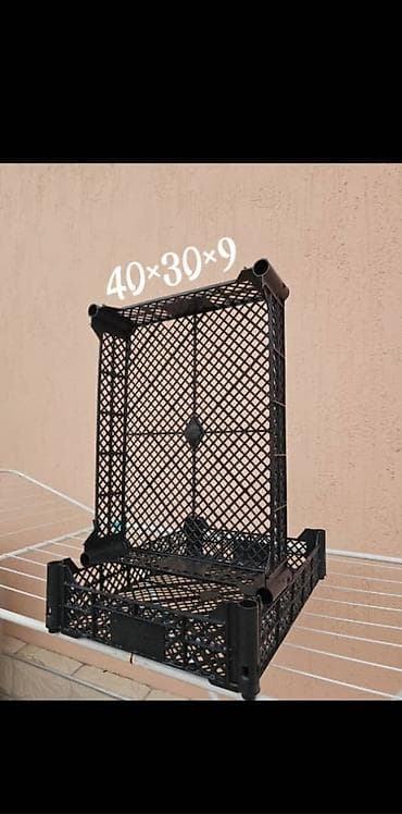 зелёный абрикос: Ящик — 3