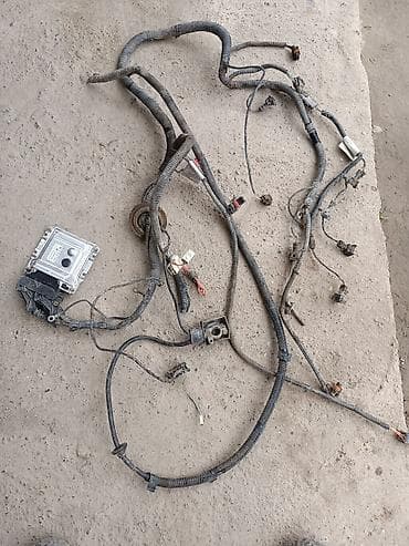 Чыпкалар: УАЗ ЗМЗ 409 Блок управления двигателем (ЭБУ) с комплектом проводки — 2