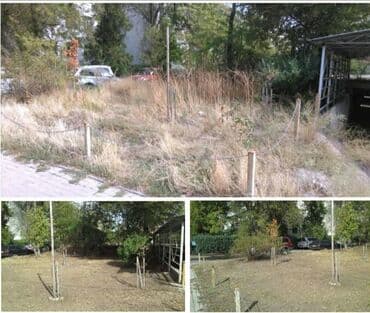 садовник требуется: Уборка территории, Уход за деревьями — 8