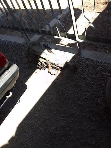 компрессор кондиционера ауди: Audi 100: 1979 г., Ручные, Купе — 1