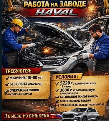 ness construction: Место работы- г.Новомосковск, в России, Автомобильный завод Haval — 1