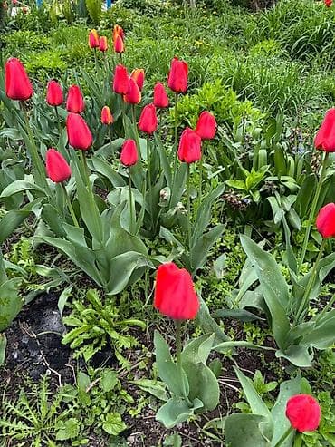 письменные столы бишкек: Самовывоз — 5