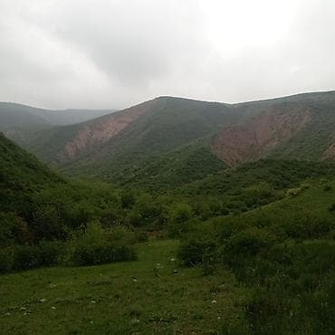 места каракол: Продаётся участок с фундаментом красная книга пять соток 2 комната — 8