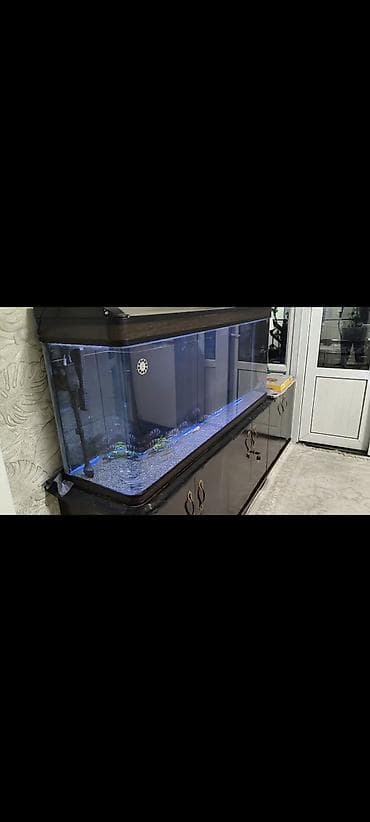 купить малек форели: Аквариумный комплект с африканскими цихлидами и грунтом аквариум — 3