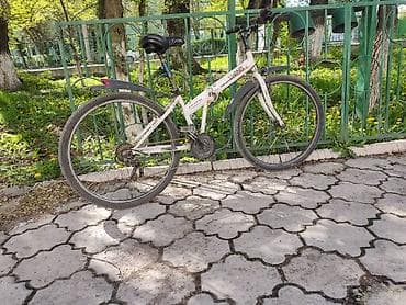 дордой велосипеды: Горный велосипед, Сталь — 2