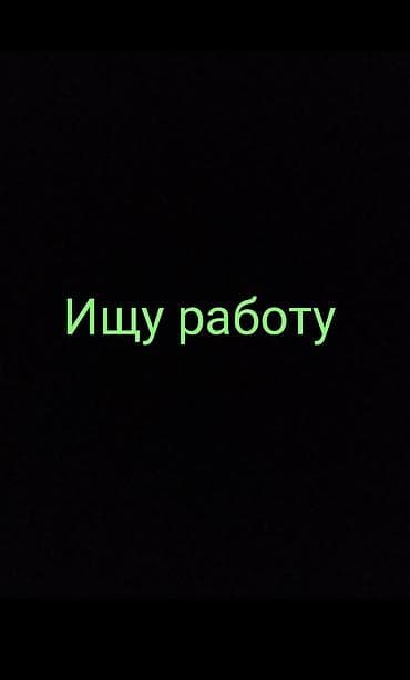 работа бухгалтер: Жумуш керек Права бар ВС Желательно Колдон болсо — 1