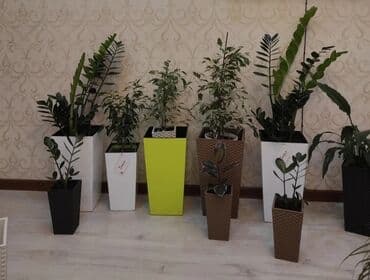 цветочница: Цветочные горшки Лотки, Висячие горшки, Прямоугольные горшки — 14