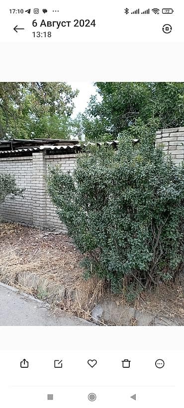 продаю или миняю: Продаю дом с участком — 4