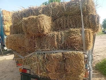 погрузка тюков: Продаю сено тюки чоп сатылат Тюки соломы в тюках малого формата - — 1