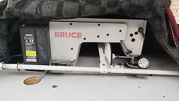 Bruce