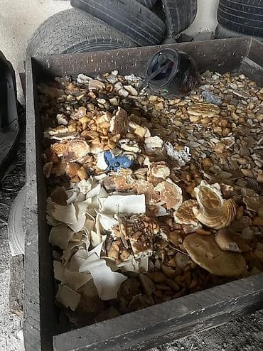 куплю свинеи: Корм для домашнего скота из мучных изделий - Состав: смесь сухих — 2