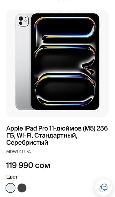 Apple iPad Pro 11″ (M5), Wi‑Fi, 256 ГБ, серебристый iPad заряжался