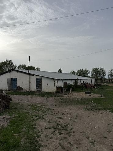 участок карпинка: Продаётся участок с хоз двором в городе Каракол, улица Масанчы, свет — 4
