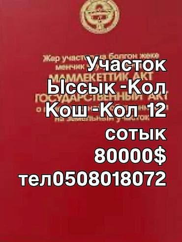 Кыймылсыз мүлк: 12 соток, Курулуш, Кызыл китеп — 1