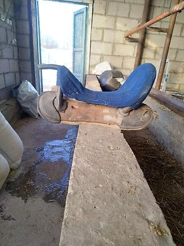 каракол животных: Ушул еер сатылат Бир еки жолу еле токулган жаны бойдон бешкоруктун — 1