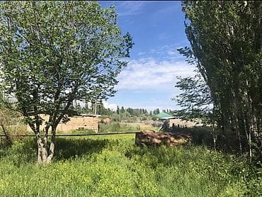 с нижняя ала арча: 50 соток, Для сельского хозяйства, Красная книга — 5