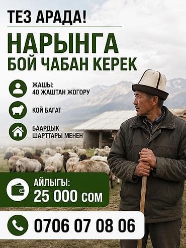 life network system: Требуется Пастух, Оплата: Ежемесячно — 1