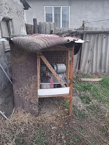 домашние куры: Защитные сетки от птиц — 3