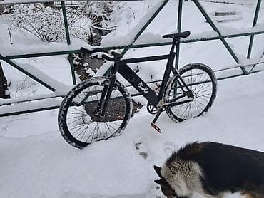 e34 540i: Городской велосипед, Рама M (156 - 178 см) — 1