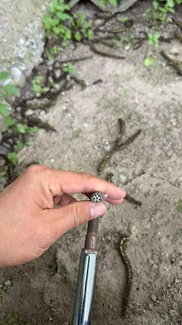 lada samara: Комплект амортизаторов Toyota 2005 г., Б/у, Оригинал, Япония — 1