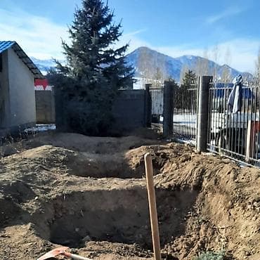 пересадка елки: Арча туя голубая ель пересадка посадка хвойных деревьев — 2