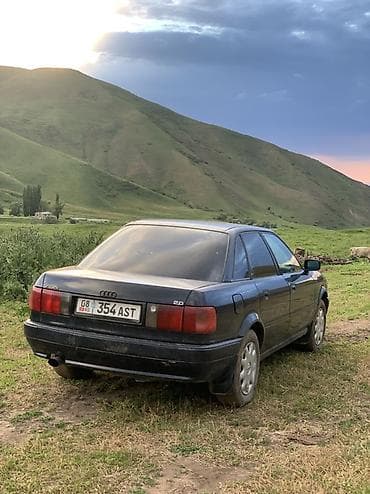 салон на гольф 4: Audi 80: 1992 г., 2 л, Автомат, Бензин, Седан — 1