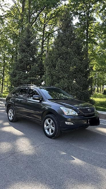 ксеноновые: Lexus RX: 2004 г., 3.3 л, Автомат, Газ, Кроссовер — 1