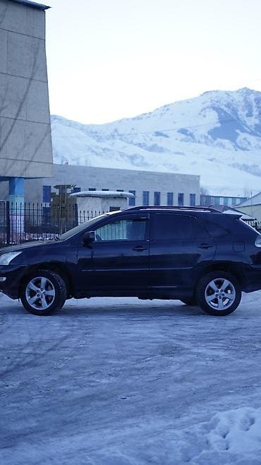 puma mercedes: Lexus RX: 2003 г., 3.3 л, Автомат, Газ, Универсал — 4