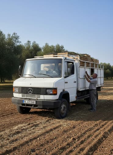 машина кузов: Грузовик, Mercedes-Benz, Стандарт — 2