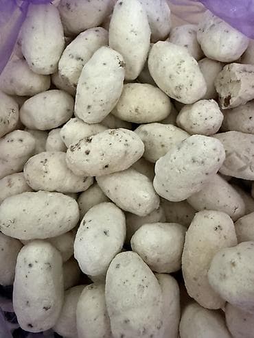 мясо в бишкеке цены: Табигый таза курут
Чобого менен чобогосуз
Курут сатылат — 6