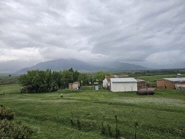 купить дом в деревне лнр недорого: Дача, 30000 кв. м, 2 бөлмө, Менчик ээси — 3