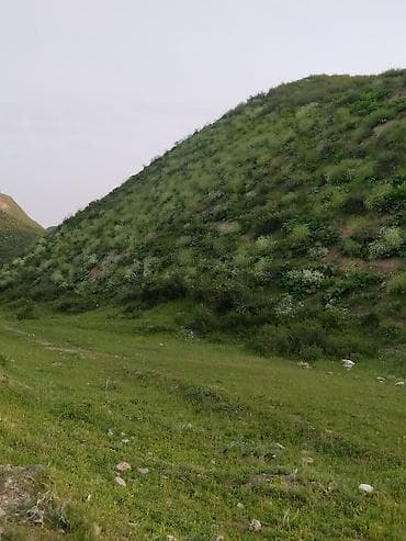 модульные дома: Продаю двух этажный дом Сип Панельный под ПСО Зимой тепло Летом — 2