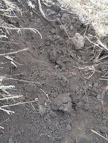 Сейфы: В тоннах, Бесплатная доставка, Зил — 4