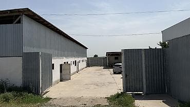 с хранения: Кошара, 60 соток — 2
