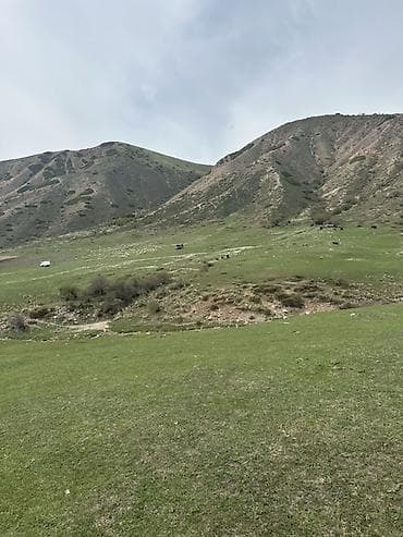 село канстантиновка дом: 15 соток, Для бизнеса, Красная книга — 9