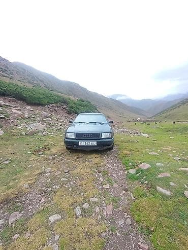Унаа: Audi 100: 1992 г., 0.2 - engine capacity л, Кол менен иштөөчү, Бензин, Седан — 3